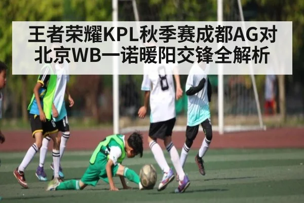 王者荣耀KPL秋季赛成都AG对北京WB一诺暖阳交锋全解析